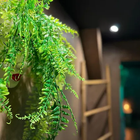 Apartament La Foret Enchantee - A Theme Jacuzzi - Evasion Pour Deux *